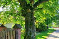 travelseriespl magurka przegibek18 travelseriespl magurka przegibek18