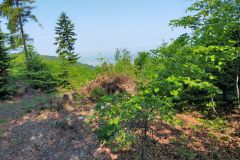 travelseriespl przegibek gaiki13 travelseriespl przegibek gaiki13