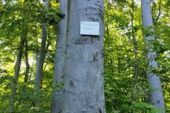 travelseriespl przegibek gaiki14 travelseriespl przegibek gaiki14