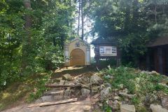 widok widok