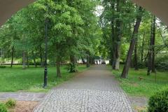 konczycemale18 konczycemale18