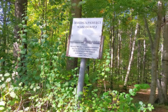 Zbiorowa mogiła tzw. "marszu śmierci" w Suszcu Zbiorowa mogiła tzw. "marszu śmierci" w Suszcu
