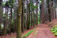 travelseriespl Ze Straconki na Łysą Góręlysa gora12 travelseriespl Ze Straconki na Łysą Góręlysa gora12