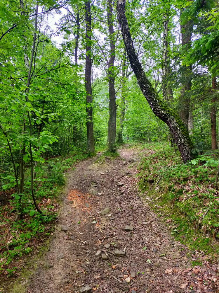 travelseriespl lysa gora08 Szlak czerwony