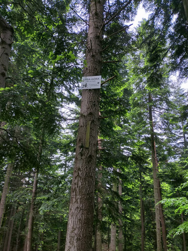 travelseriespl lysa gora16 Łysa Góra