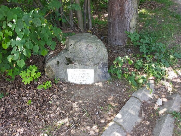 Kamień Seniora na polanie pod Dębowcem
