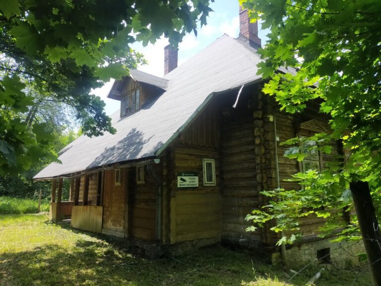 travelseriespl gaiki lipnik01