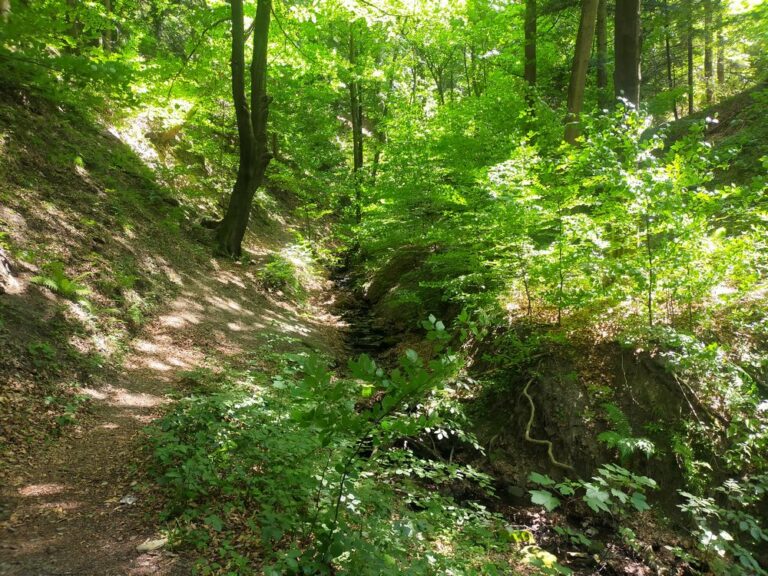 travelseriespl gaiki lipnik07