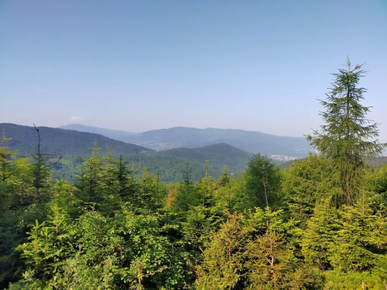 travelseriespl gaiki01