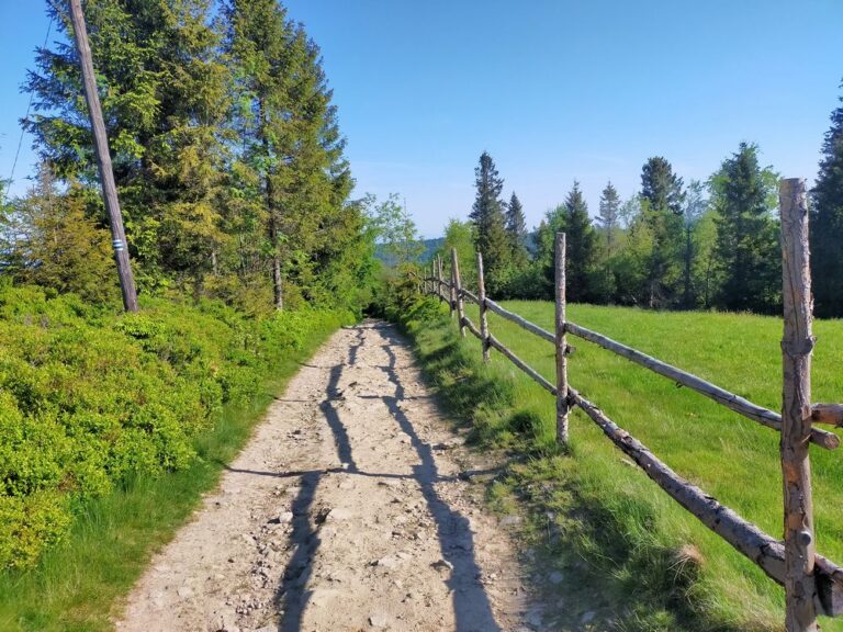 travelseriespl magurka przegibek13
