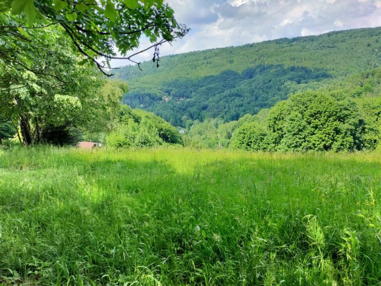 travelseriespl przegibek szosa4