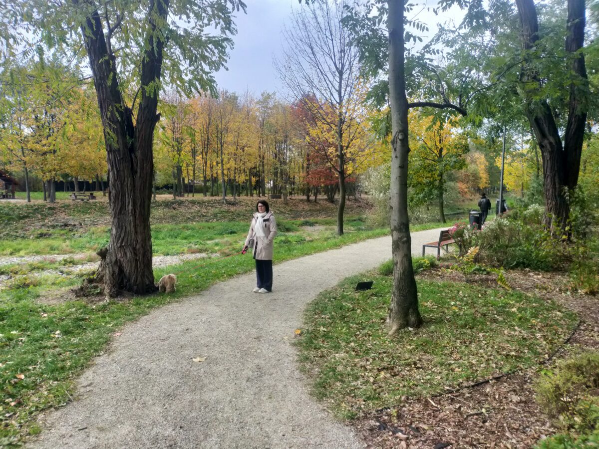 park_weldoro31 park_weldoro31