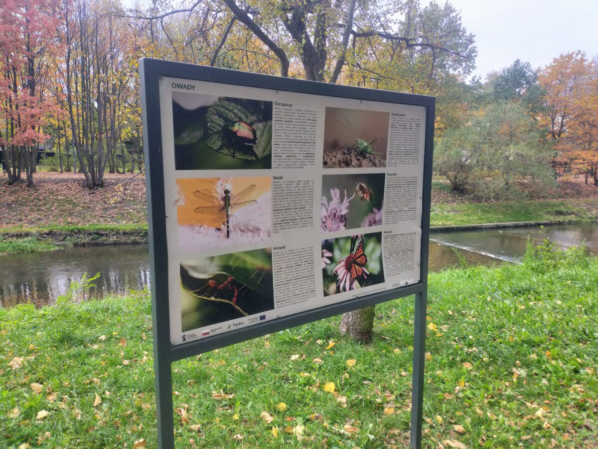 park_weldoro39 park_weldoro39
