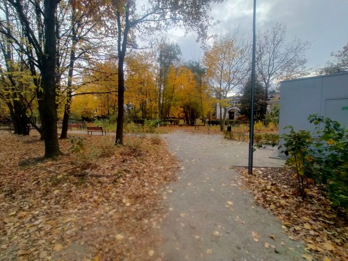 park_weldoro69 park_weldoro69